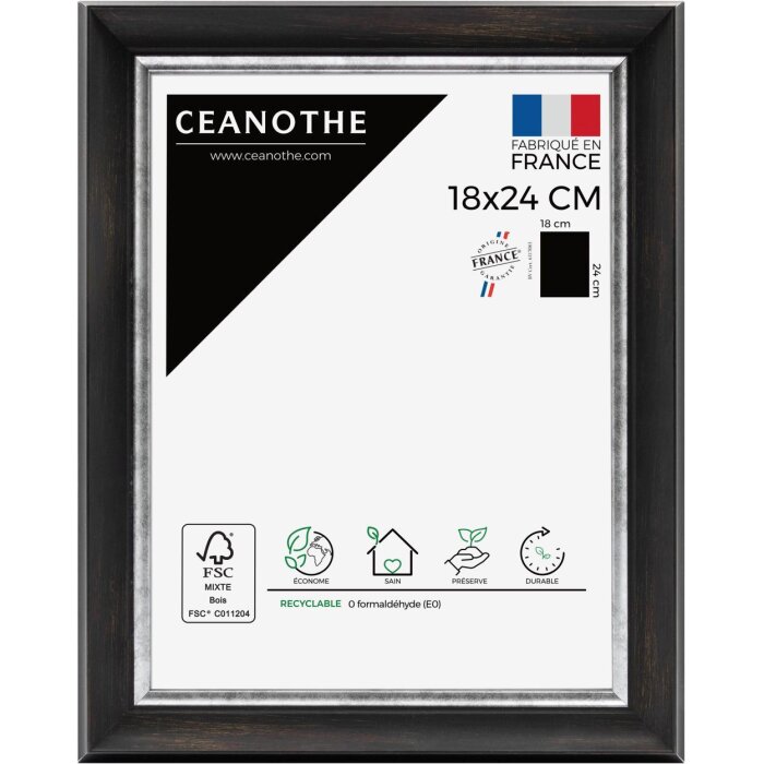 Ceanothe Marco Pandore 40x50 cm negro-plata