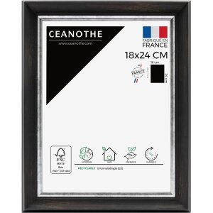 Ceanothe Marco Pandore 40x50 cm negro-plata