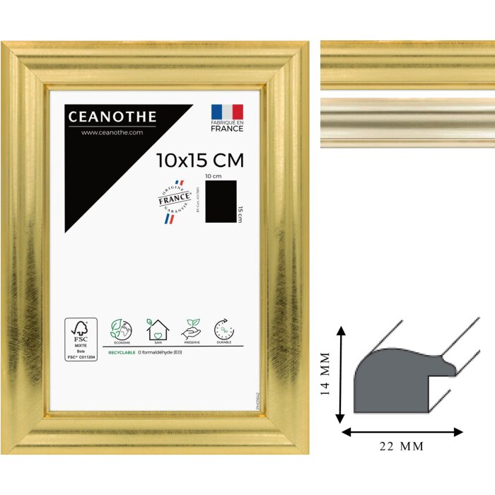 Ceanothe Marco Julia de 10x15 cm a 60x80 cm