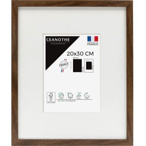 Ceanothe Marco de madera silvestre con bisel Passepartout
