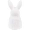 Clayre & Eef 6CE1525 Decoración Estatua Conejo 11x11x21 cm Blanco - Dorado