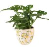 Clayre & Eef 6CE1532S Maceta decorativa Ø 13x12 cm Amarillo