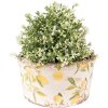 Clayre & Eef 6CE1533M Maceta decorativa Ø 16x9 cm Amarillo