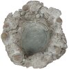 Clayre & Eef 6TE0407 Maceta Ø 27x12 cm Gris