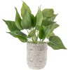 Clayre & Eef 6TE0450 Maceta Ø 14x18 cm Gris