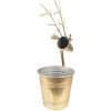 Clayre & Eef 6Y4971 Decoración Florero Ciervo 27x17x16-45 cm Color Oro