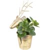 Clayre & Eef 6Y4971 Decoración Florero Ciervo 27x17x16-45 cm Color Oro