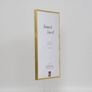 Efecto marco de plástico Art oro 27x48 cm cristal transparente