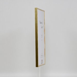 Efecto marco de plástico Art oro 27x48 cm cristal transparente