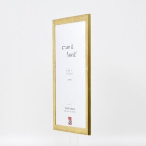 Marco de fotos Effect Profil 43 dorado 27x48 cm