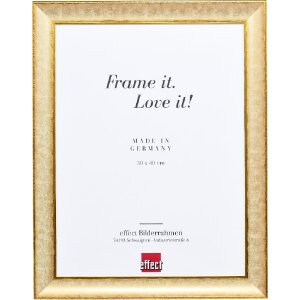 effect Holzrahmen Profil 68 elfenbein 35x100 cm Klarglas...