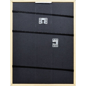 Marco de fotos de madera Effect Profil Top S Platin 50x60 cm con vidrio normal