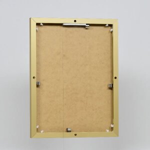 Marco de aluminio efecto Quadro 25x60 cm cristal dorado antirreflejos