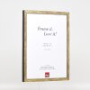 Marco de fotos Effect Profil 42 Vidrio antireflex dorado antiguo 62x93 cm
