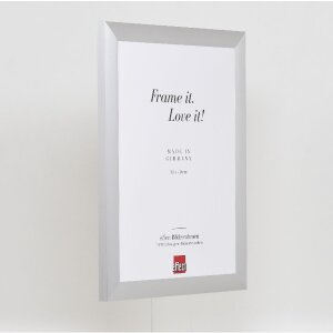 Marco de fotos Effect Profil S3 Plata 25x50 cm con acrílico