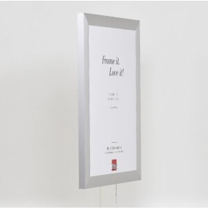 Marco de fotos Effect Profil S3 Plata 60x90 cm con acrílico