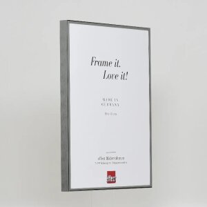 Marco de fotos Quadro Espejo antiguo plateado 62 x 93 cm