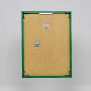 Efecto marco de plástico Art green 25x70 cm cristal de museo