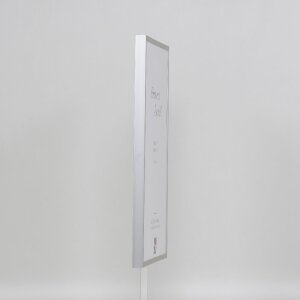 Marco de fotos de aluminio Serie 2 Effect con cristal de museo plateado 45x60 cm