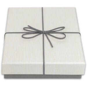 ZEP Caja de regalo Piacenza gris 22,3x27,4x4 cm (21x26x3,5 cm)