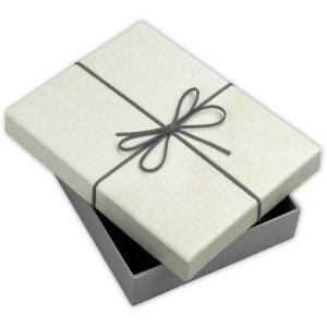 ZEP Caja de regalo Piacenza gris 22,3x27,4x4 cm (21x26x3,5 cm)
