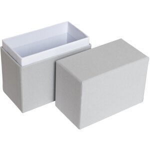 HNFD Photo Box Parda 300 fotos 10x15 cm gris hielo cuello alto