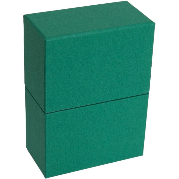HNFD Foto Box Parda 300 fotos 10x15 cm abeto cuello verde de pie alto