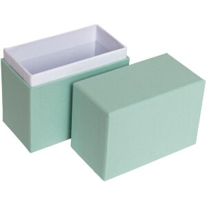 HNFD Foto Box Parda 300 fotos 10x15 cm menta cuello de pie alto