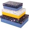 Libro de Oro Cartón Set Meadow Miracles 3 Cajas