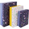 Libro de Oro Cartón Set Meadow Miracles 3 Cajas