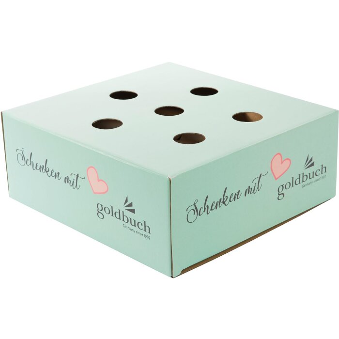 Bolsa de regalo Goldbuch soporte de venta Regalar con corazón menta