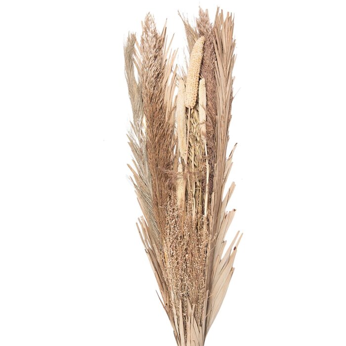 Clayre & Eef 5DF0002 Flor seca 25x8x100 cm Beige