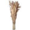 Clayre & Eef 5DF0002 Flor seca 25x8x100 cm Beige