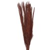 Clayre & Eef 5DF0004 Flores secas 10x5x85 cm Rojo