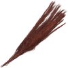 Clayre & Eef 5DF0004 Flores secas 10x5x85 cm Rojo