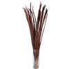 Clayre & Eef 5DF0004 Flores secas 10x5x85 cm Rojo
