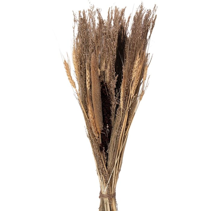 Clayre & Eef 5DF0006 Flores secas 18x6x60 cm Beige