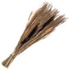 Clayre & Eef 5DF0006 Flores secas 18x6x60 cm Beige