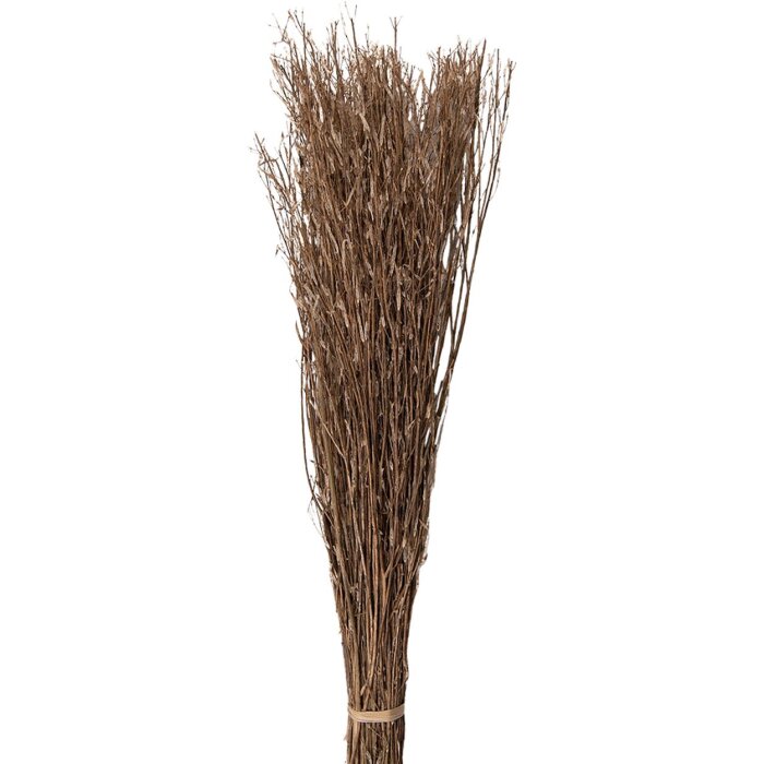 Clayre & Eef 5DF0007 Flores secas 20x6x80 cm Beige