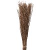 Clayre & Eef 5DF0007 Flores secas 20x6x80 cm Beige