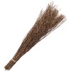 Clayre & Eef 5DF0007 Flores secas 20x6x80 cm Beige