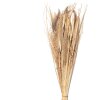 Clayre & Eef 5DF0008 Flores secas 20x6x80 cm Beige
