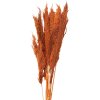 Clayre & Eef 5DF0013 Flores Secas Bambú 90 cm (10) Naranja