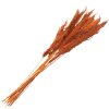 Clayre & Eef 5DF0013 Flores Secas Bambú 90 cm (10) Naranja