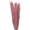 Clayre & Eef 5DF0015 Flores secas 100 cm (15) Marrón
