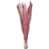 Clayre & Eef 5DF0015 Flores secas 100 cm (15) Marrón
