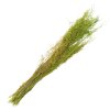 Clayre & Eef 5DF0016 Flores secas 90 cm (50 gr) Verde