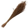 Clayre & Eef 5DF0017 Flores Secas 60 cm (100 gr) Beige