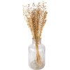 Clayre & Eef 5DF0017 Flores Secas 60 cm (100 gr) Beige