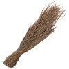 Clayre & Eef 5DF0020 Flores secas 55 cm (100 gr) Beige